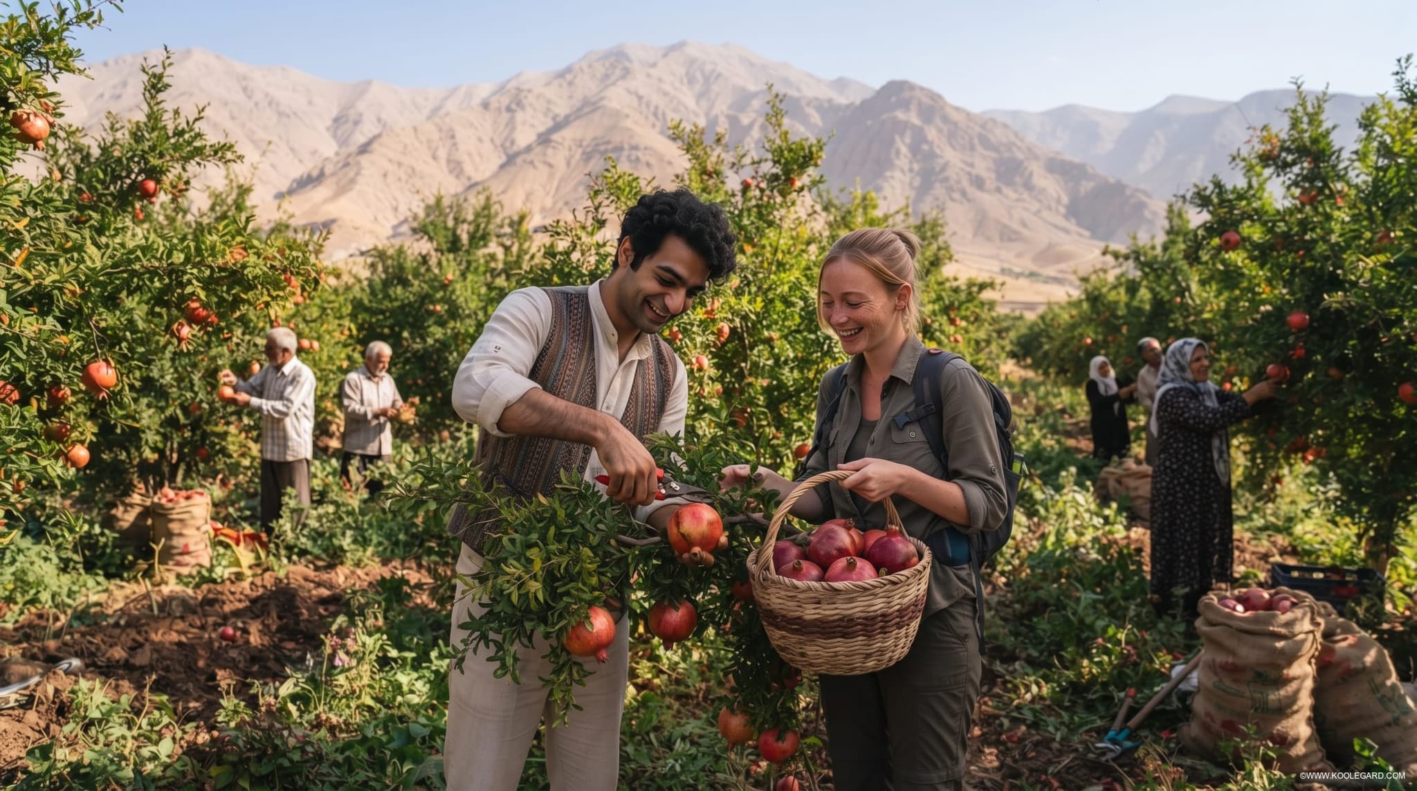 workaway_iran